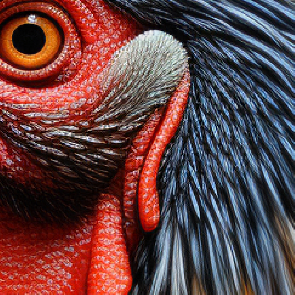 Detail of a Midjourney Image created with prompt Chiaroscuro rooster portrait