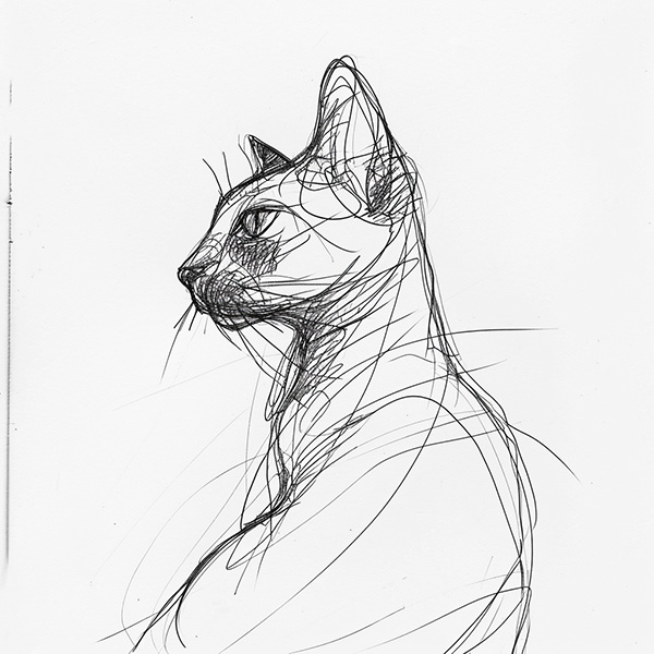 Example Midjourney image of a continuous line sketch of a cat