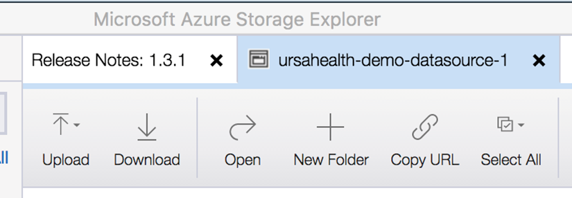Accessing Azure Storage Containers