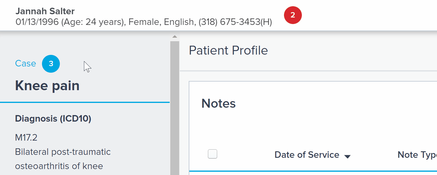 EMR_2.0_Patient Profile_Case Drawer