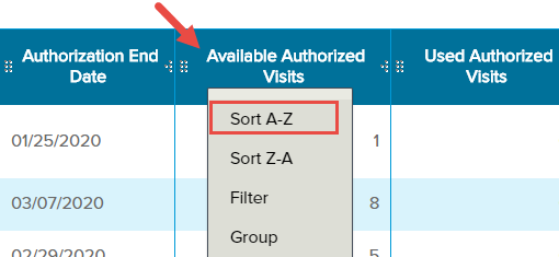 EMR_Analytics_Analysis Grid_Authorizations_Available Authorized Visits_Sort Column_A-Z