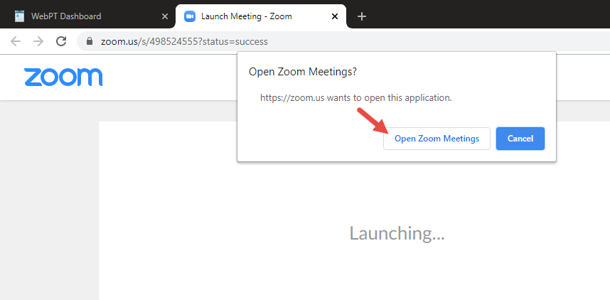 Zoom_Open Zoom Meetings
