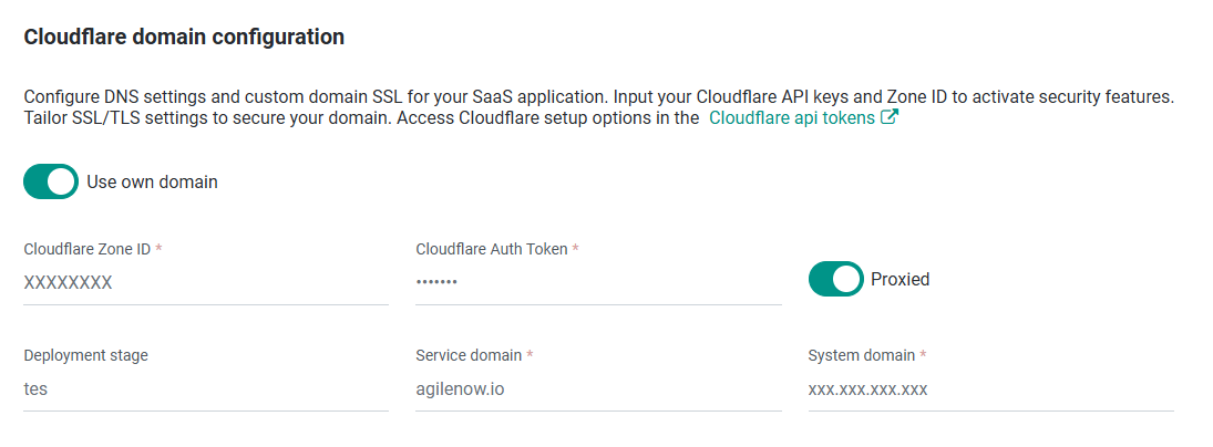 Cloudflare domain configuration