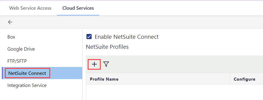 1. Cloud services - NetSuite Connect and Add(2)