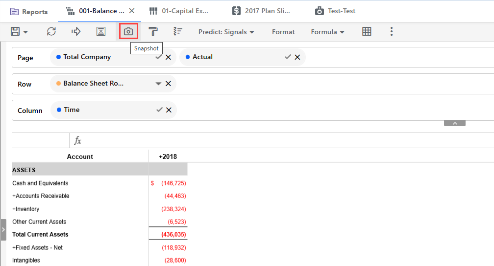 Balance sheet report showing negative asset values in red; snapshot tool icon in toolbar is selected.