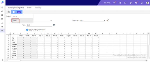 Consolidation_CurrencyExchange_Import3