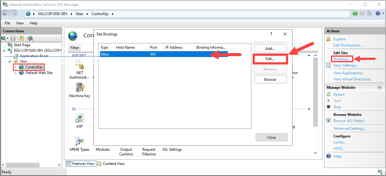 COP Site Bindings window with edit button selected