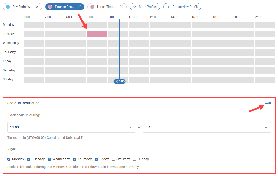 scale-in restriction option enabled to block scale in