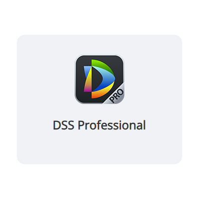 DSS Professional.png
