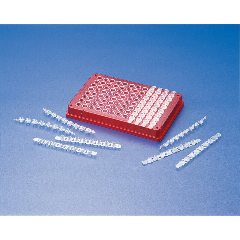 eppendorf plate and cap