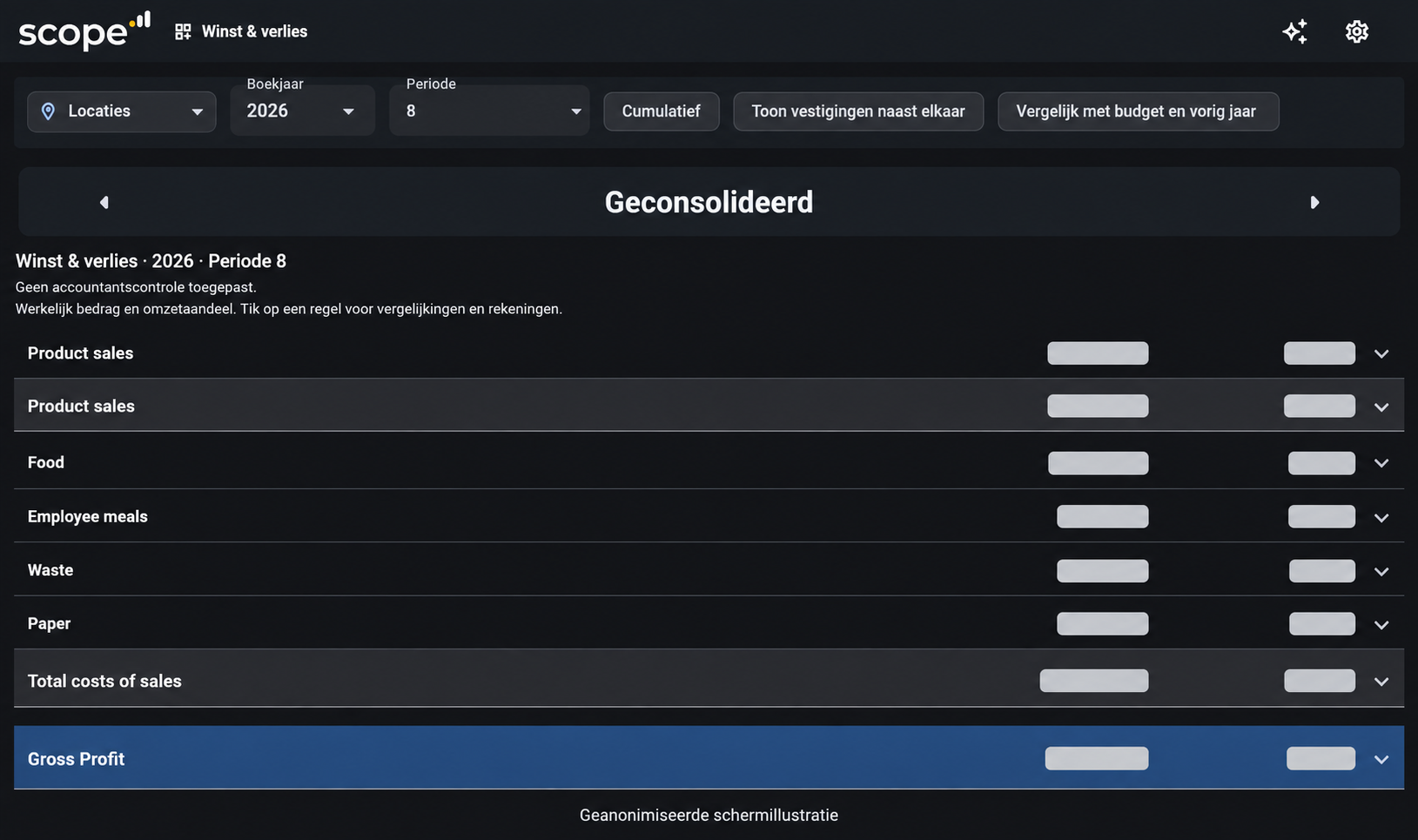 App Winst en verlies: filters en werkelijk overzicht. Bedrijfsgegevens en financiële waarden zijn afgeschermd.