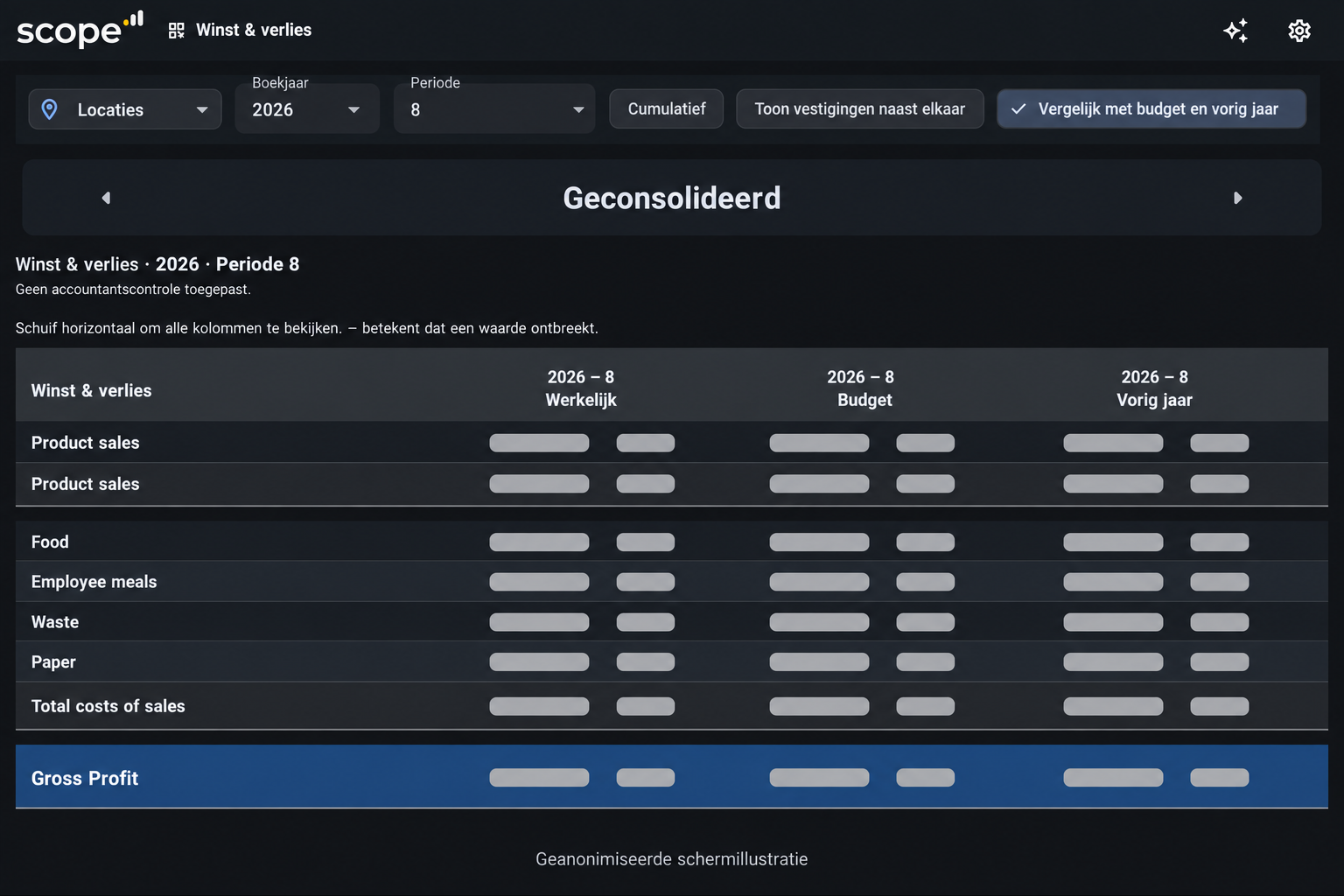 App Winst en verlies met Werkelijk, Budget en Vorig jaar naast elkaar. Alle financiële waarden zijn afgeschermd.