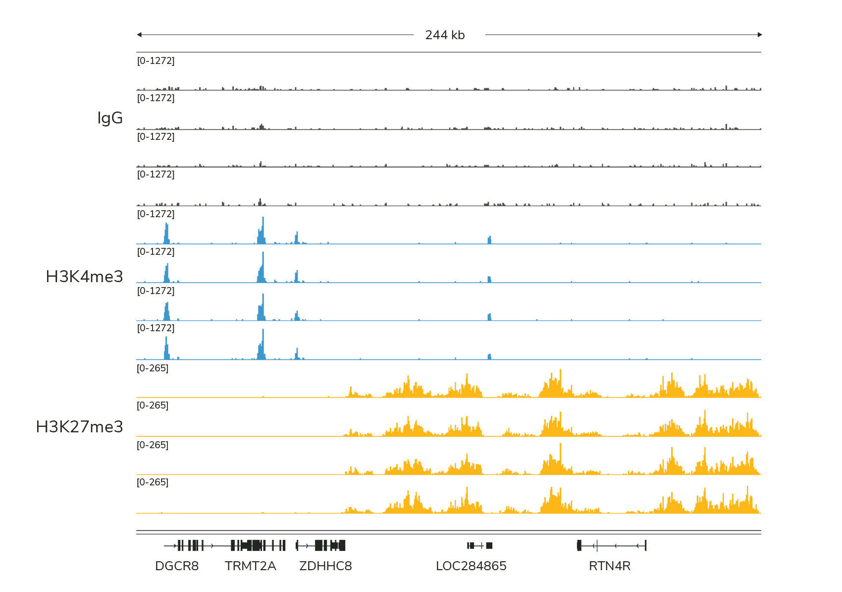 CUT&Tag Expected Result Tracks@2x