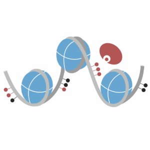 This logo has Hia5-for-Fiber-seq-Product-Icon-300x300