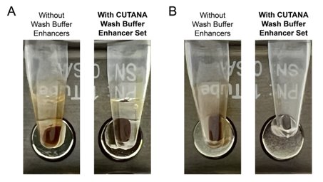 A close-up of a wash buffer set
AI-generated content may be incorrect.