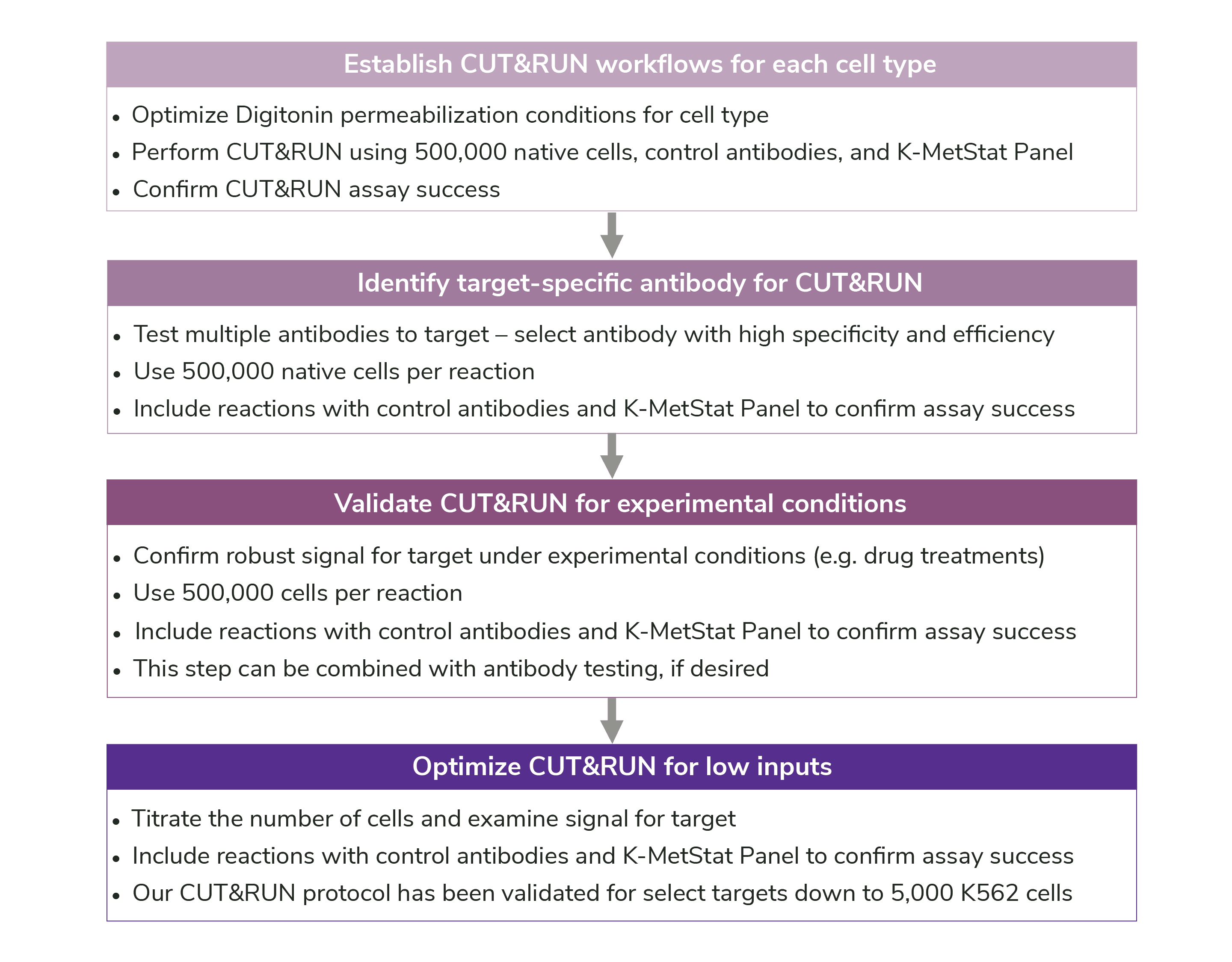 optimization CUTRUN updated