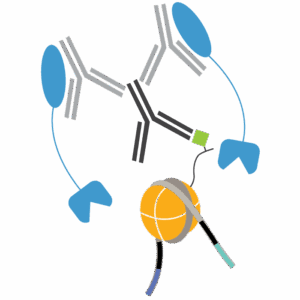 This logo has pAG-Tn5-CUTTag-300x300