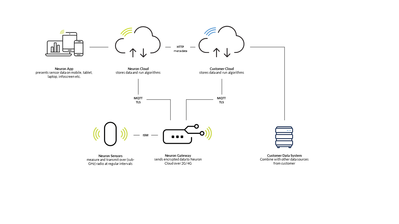 Dual path graphic.png