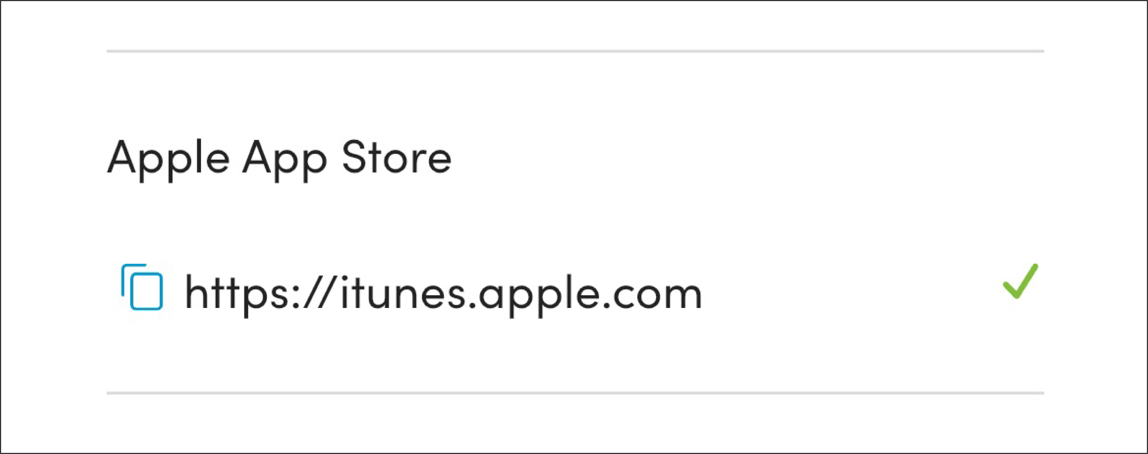 Connection to the Apple App Store - successful connection shown