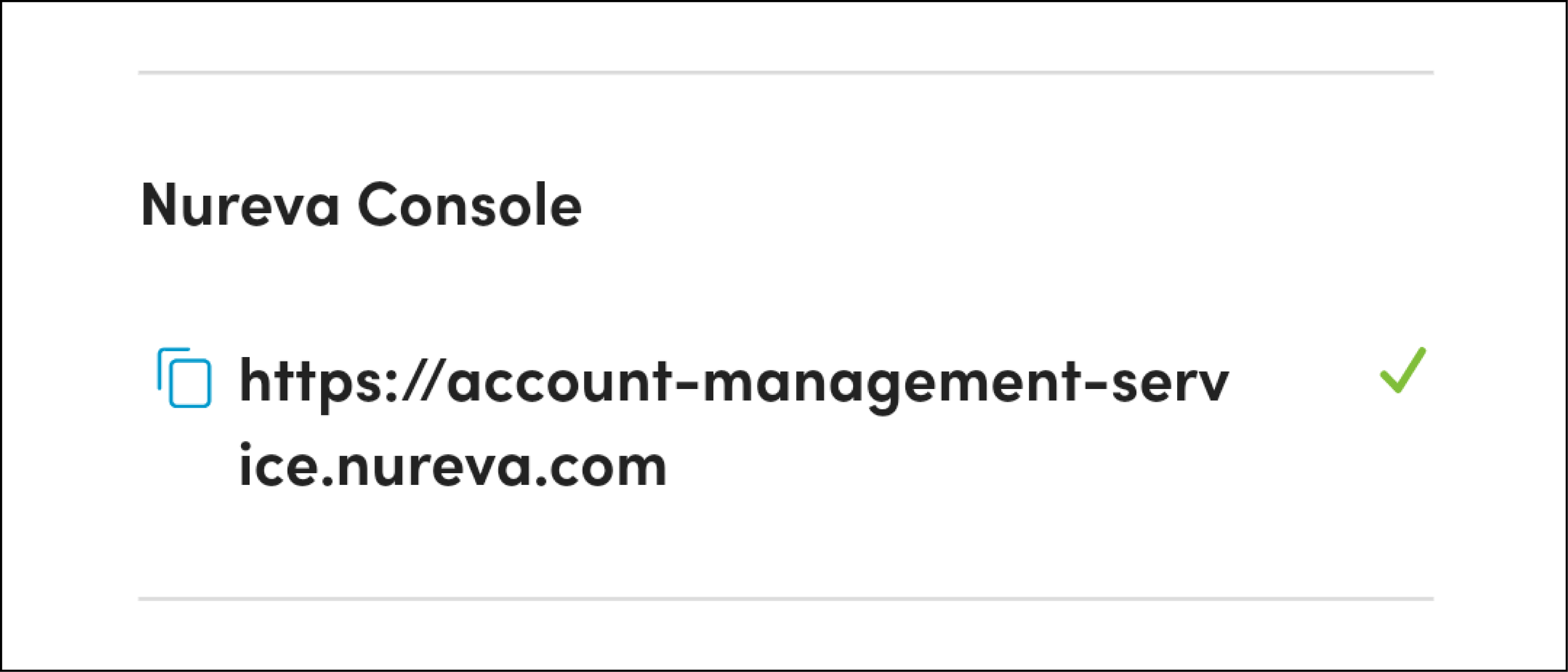 Nureva Console connection table - successful connection shown.