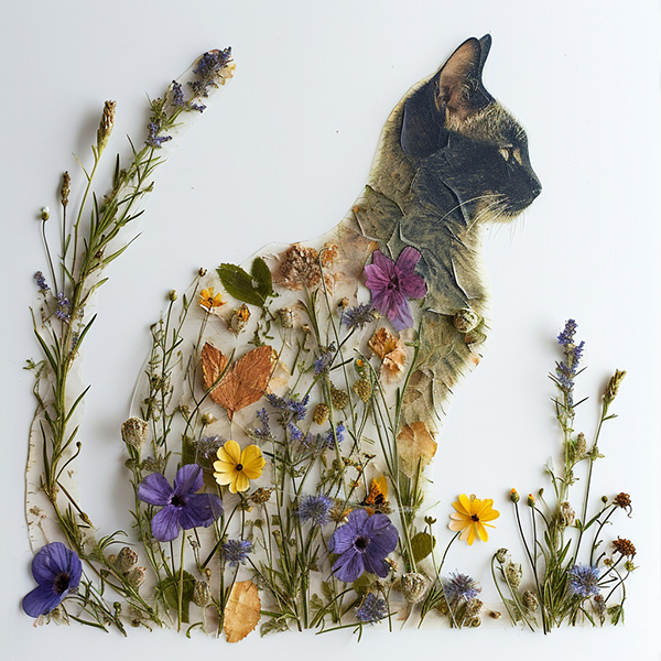 Example Midjourney image of a pressed flower cat