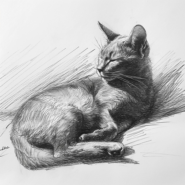 Example Midjourney image of a life drawing sketch of a cat