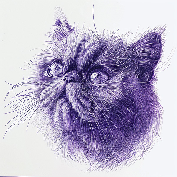 ballpoint pen sketch of a cat, purple ink, generated by Midjourney
