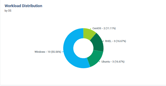 Workload OS Distribution