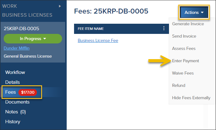 Business Licenses, Fees, Actions, Enter Payment.png