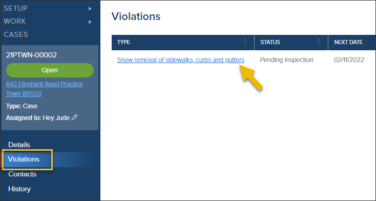 Case, Violations, select violation type to open.png