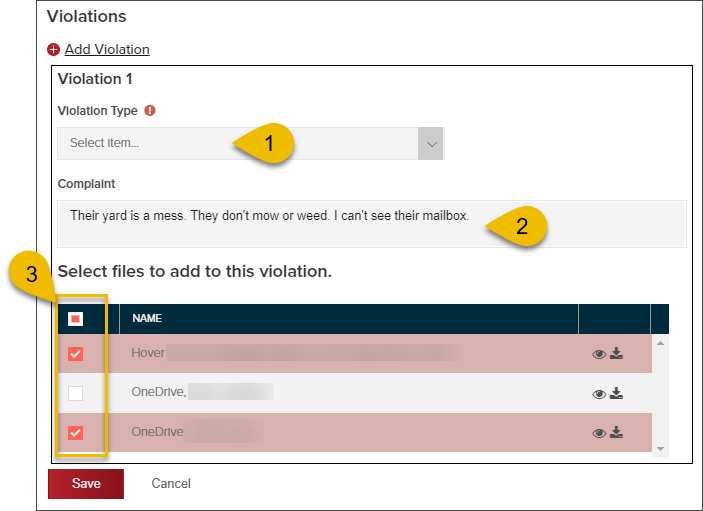 Cases, complaint inbox, select violation type and images.png