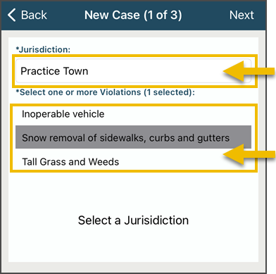 IC3, Create case, select jurisdiction and violations.png
