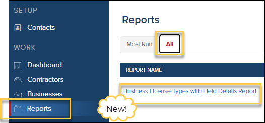 New Report - Business License Types with Field Details