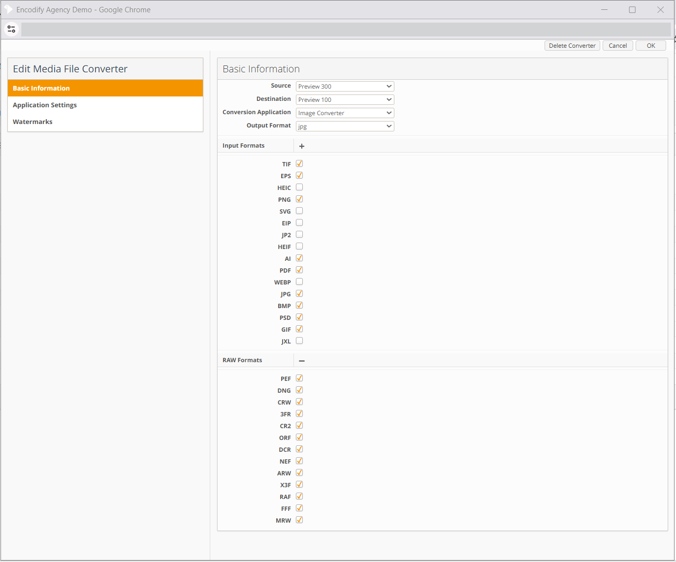 Edit Media File Converter Window  Basic Information tab