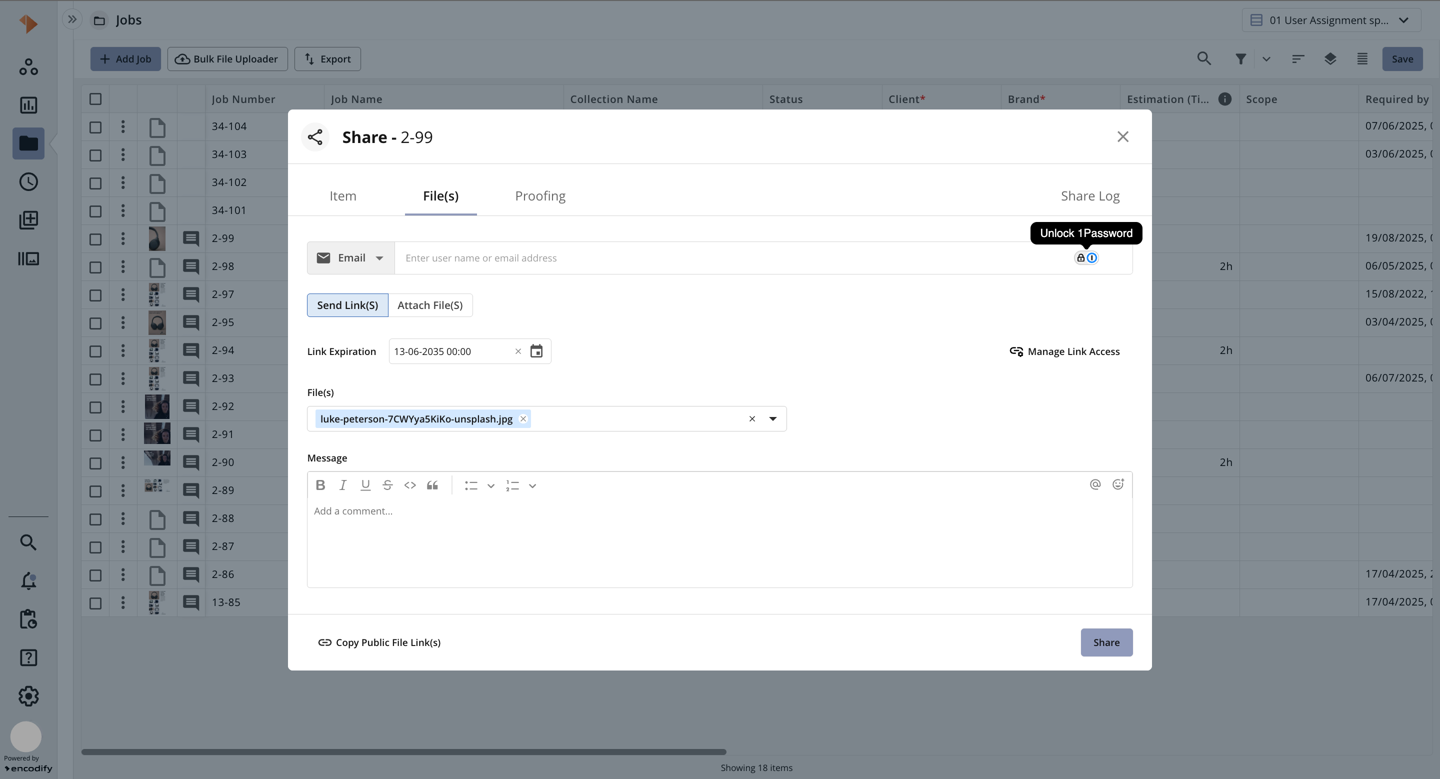 Sharing job files with email and link expiration settings in a project management interface.