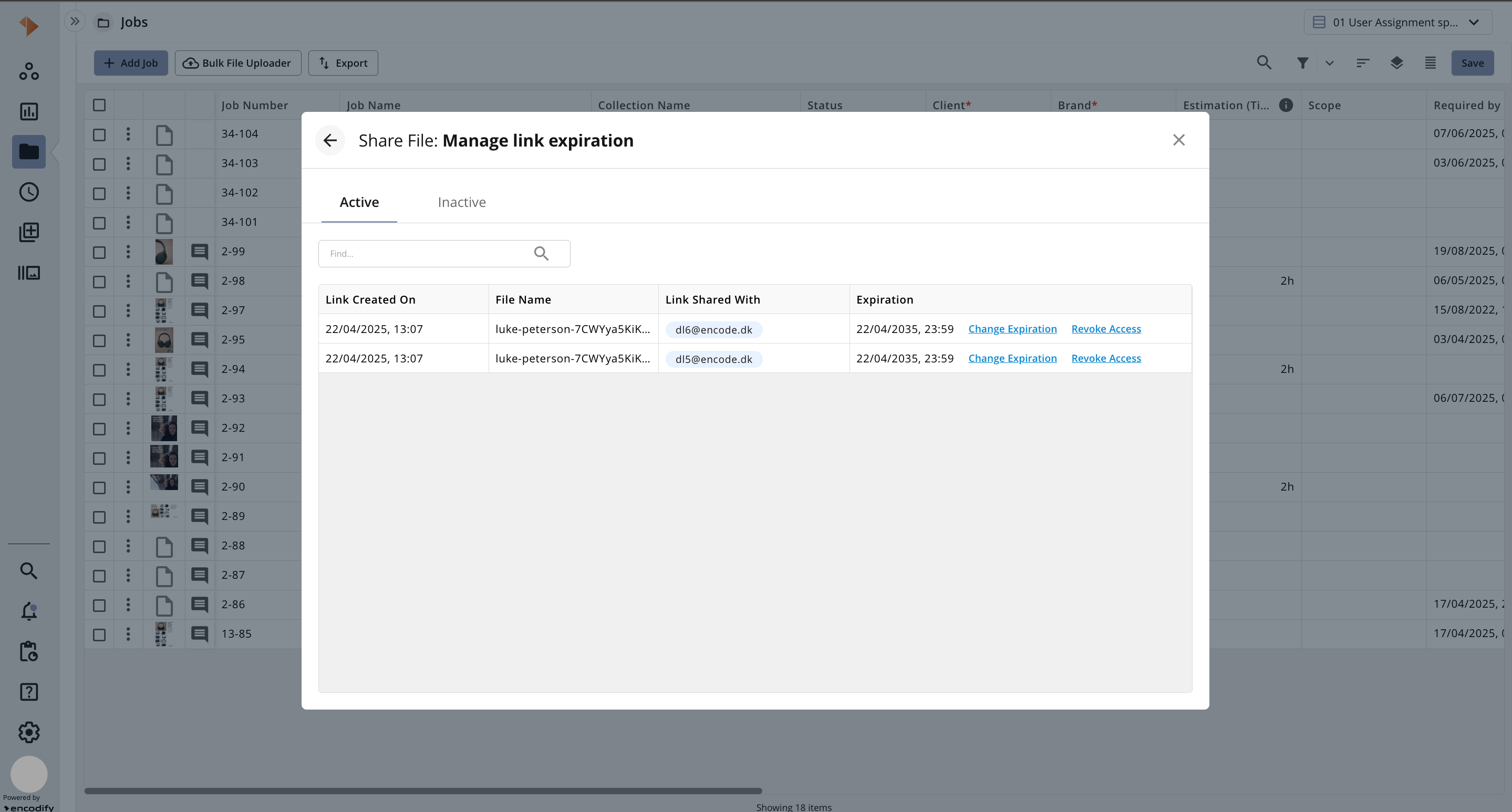 Manage file sharing links with expiration dates and access options for users.