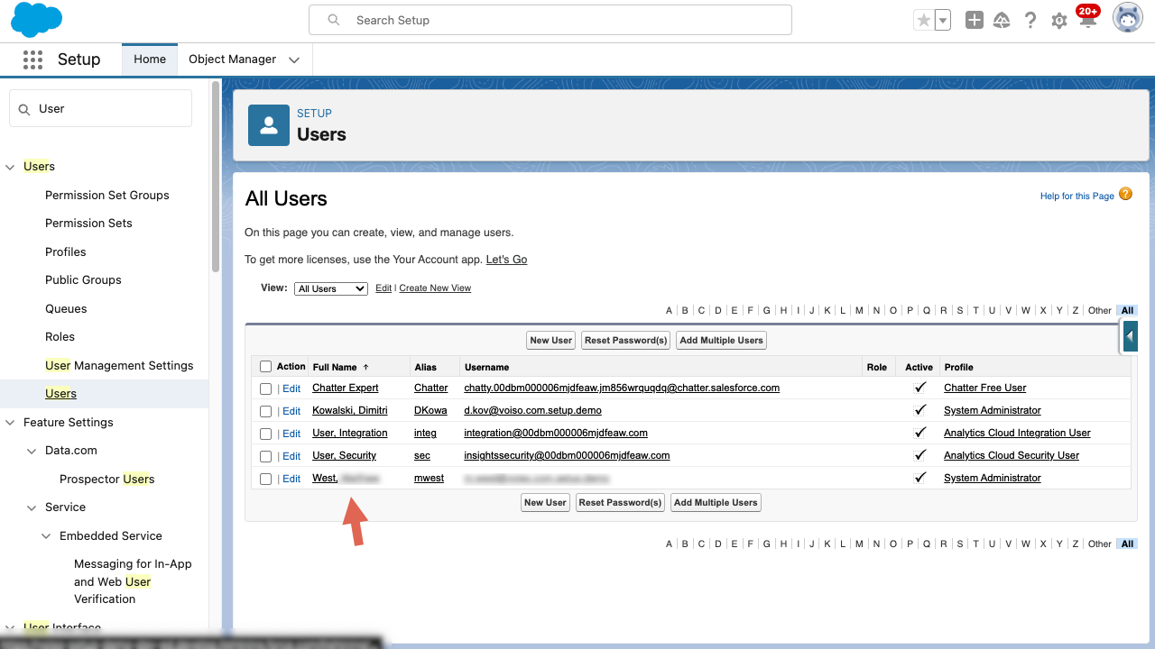 CRM Salesforce Integration User Permissions All Users Page