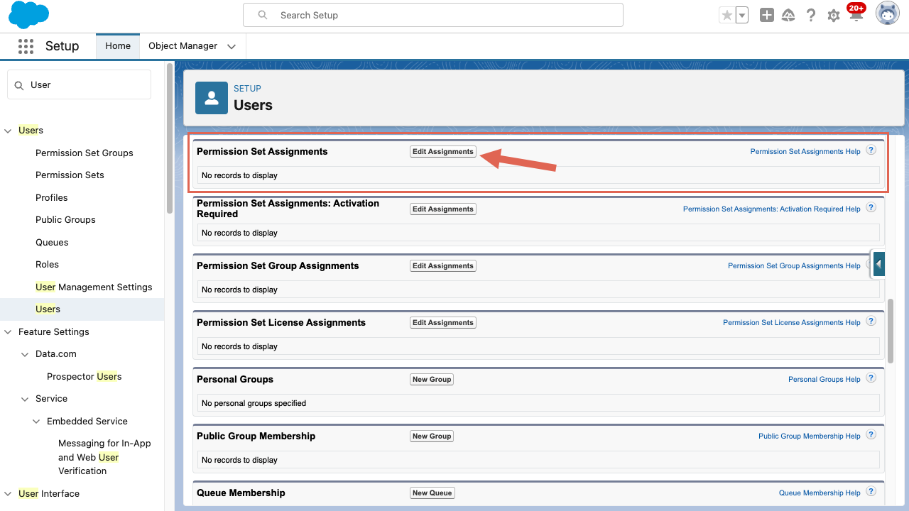 CRM Salesforce Integration User Permissions Permission Set Assignments