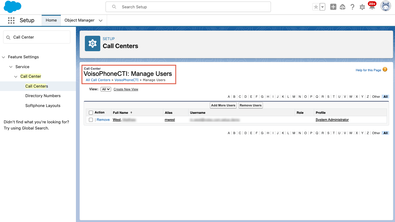 CRM Salesforce Manage Users