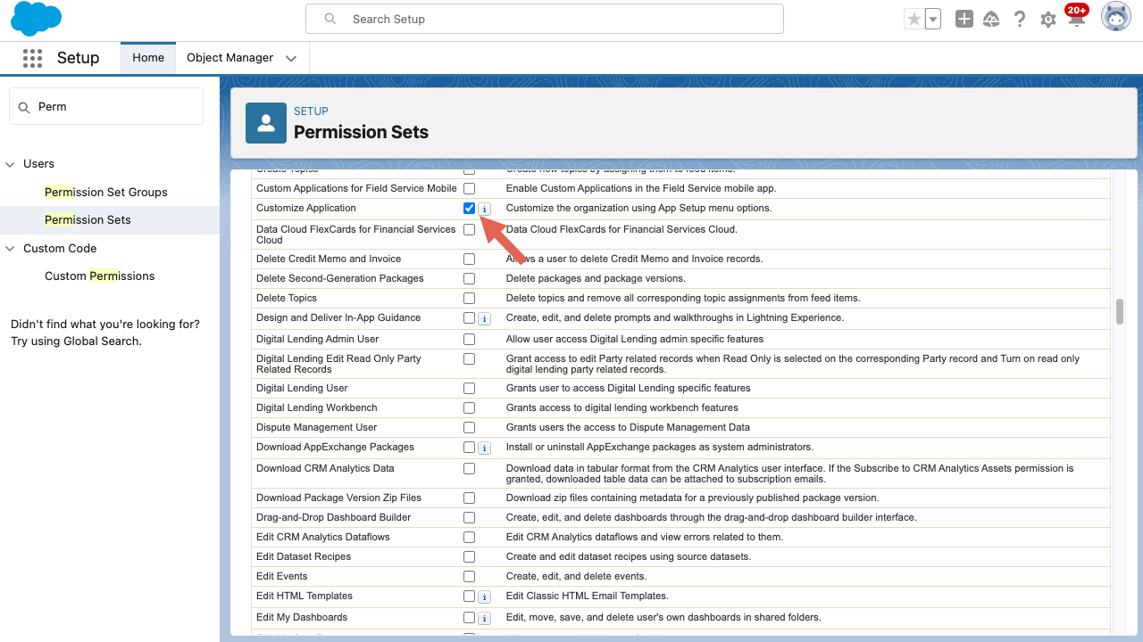 CRM Salesforce Permission Sets Create Page Customize Application