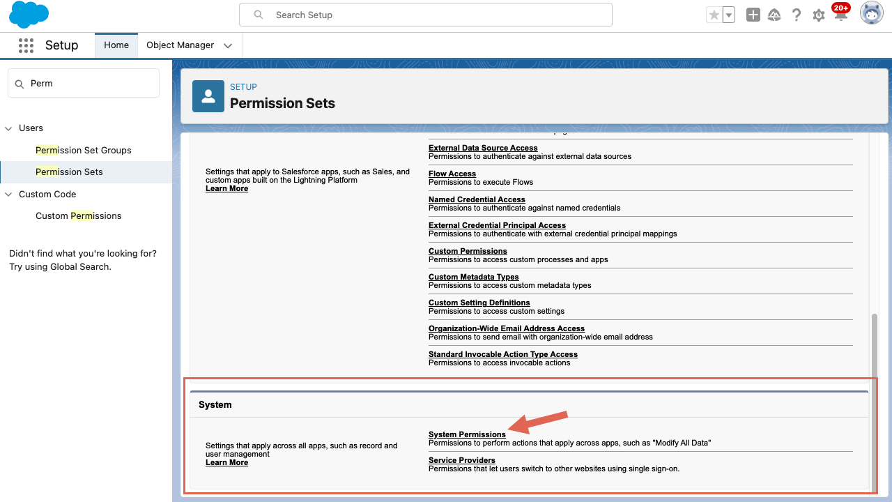 CRM Salesforce Permission Sets Create Page System Section