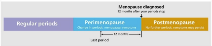 Menopause Definition.png