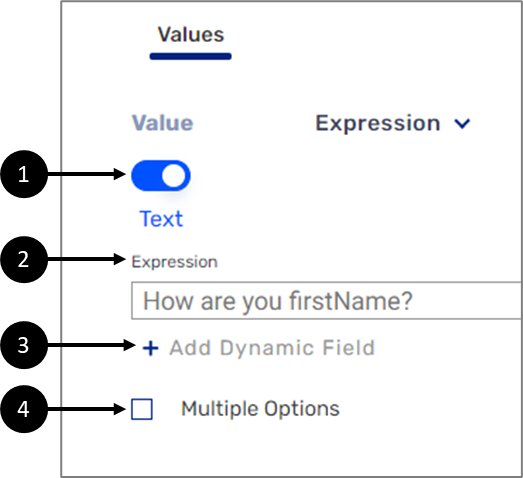 Expression Value Fields and Options.
