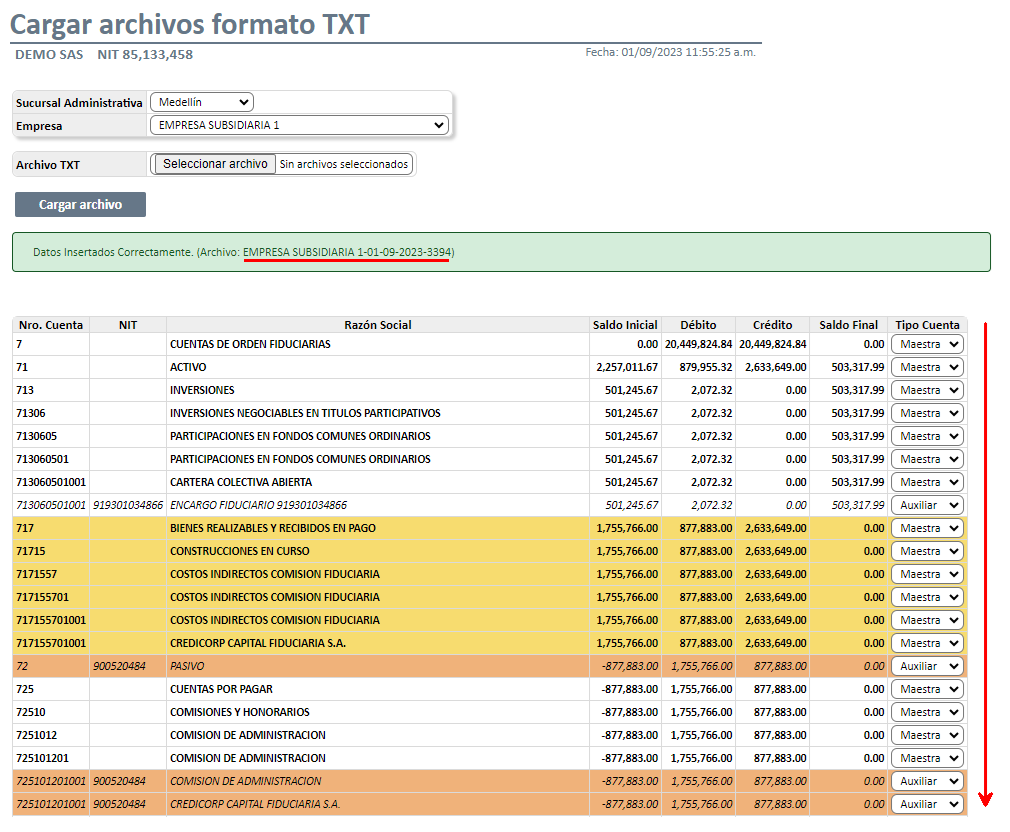 CARGAR ARCHIVOS FORMATO TXT3