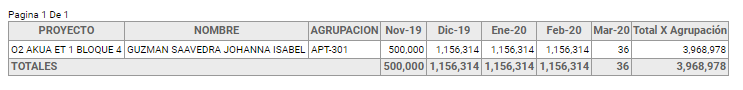 ProgramacionMensualDeIngresos51