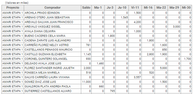 RecaudoDiario6