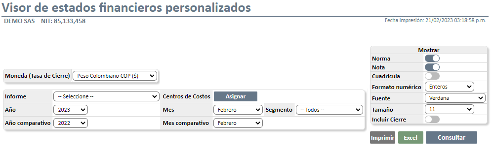 VISOR DE ESTADOS FINANCIEROS PERSONALIZADOS NIIF1