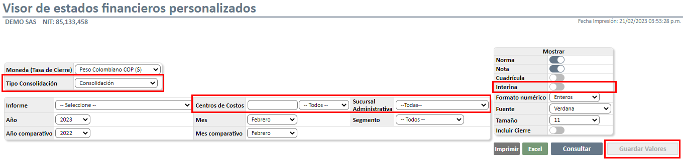 VISOR DE ESTADOS FINANCIEROS PERSONALIZADOS NIIF4