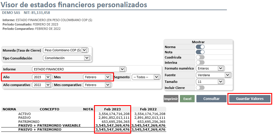 VISOR DE ESTADOS FINANCIEROS PERSONALIZADOS NIIF6