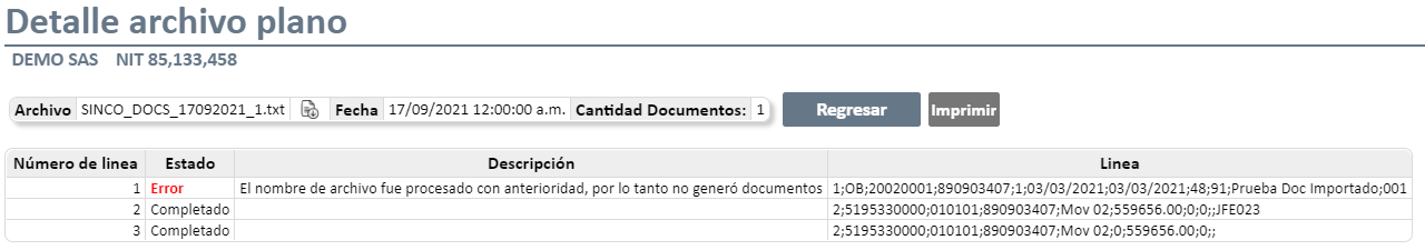 auditoria-documentos-importados-archivo-plano5